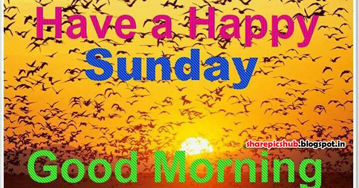 Have A Happy Sunday Good Morning Greeting Cards | Good Morning Wishes ...