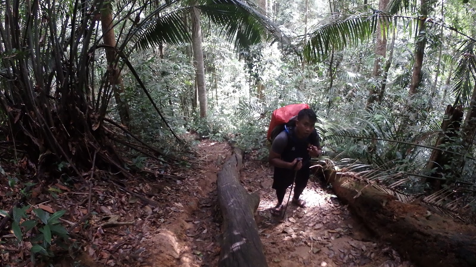WADAH PENCERITAAN: #Hiking : Gunung Korbu-Gayong (KORGA) trip