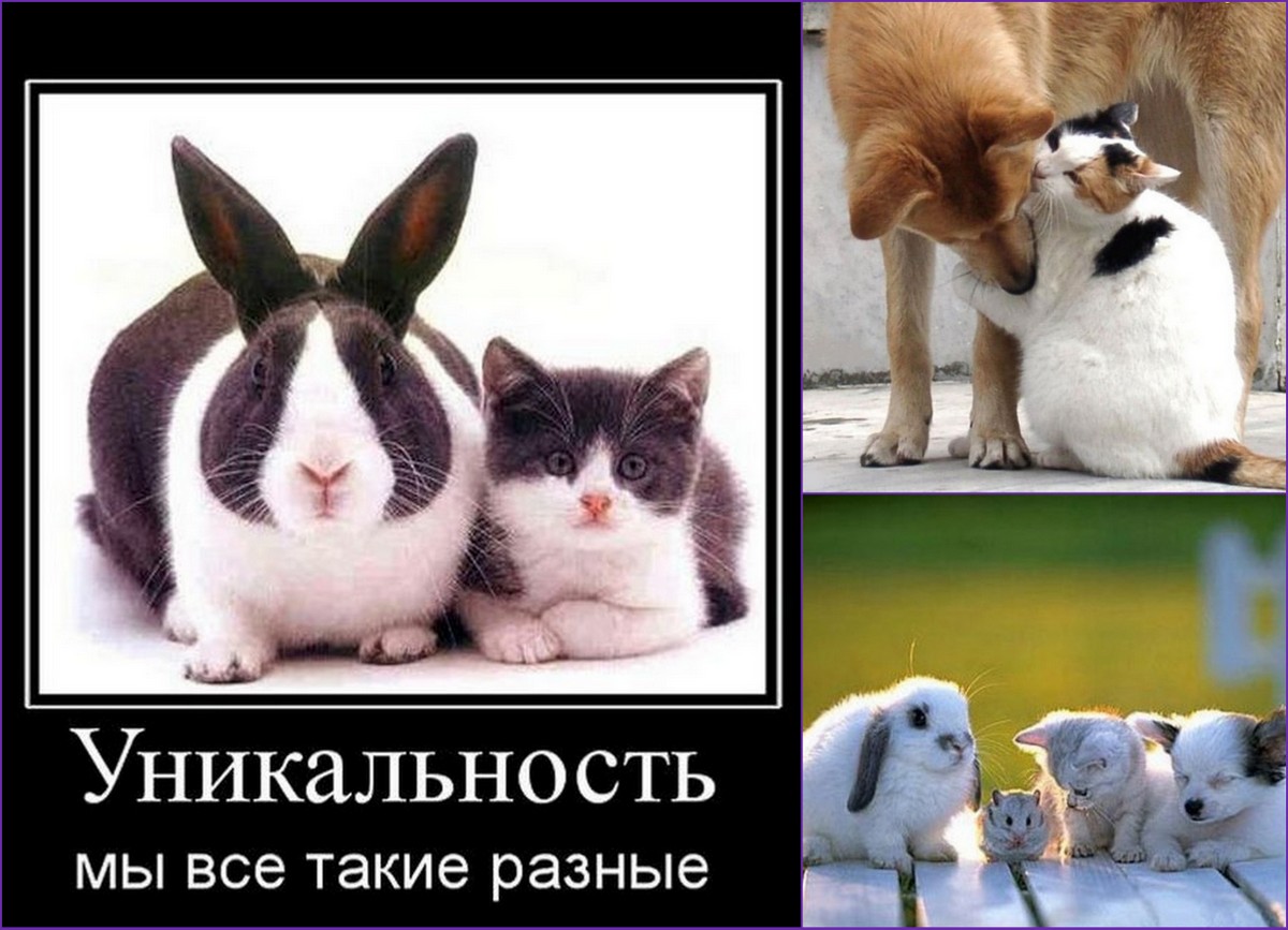 Высказывания про настроение. День улыбки. Дружба начинается с улыбки картинки. Демотиваторы разные. Про лучше всех что это такое.