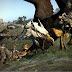 Top 10 Dragons Dogma Images, Greetings, Pictures for whatsapp-bestwishespics