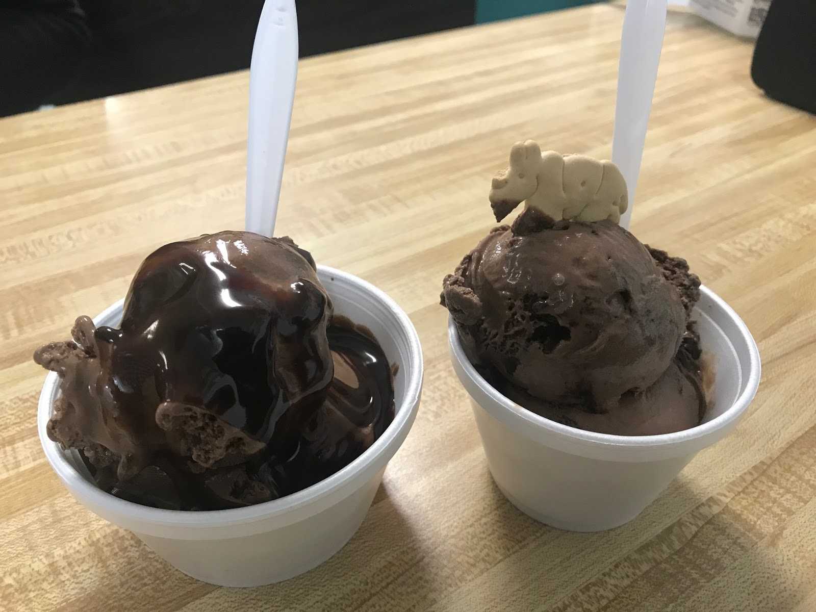 Explore SWFL It's Everywhere and Rightfully So Royal Scoop