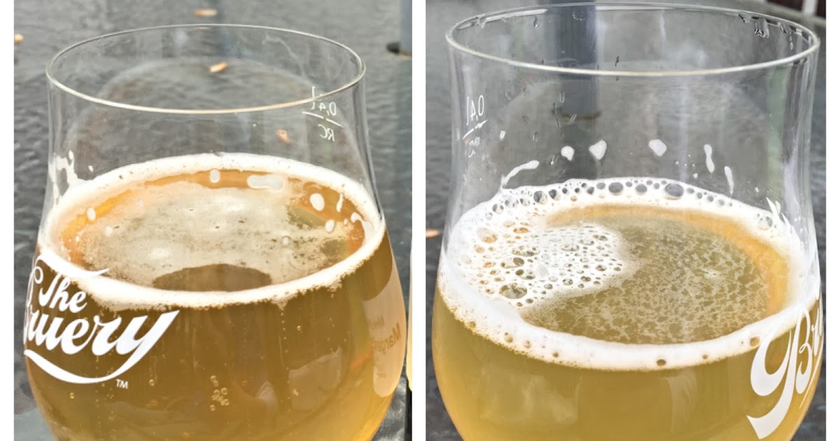 Meek Brewing Co. Brewing a Gose (using Lactobacillus plantarum capsules)