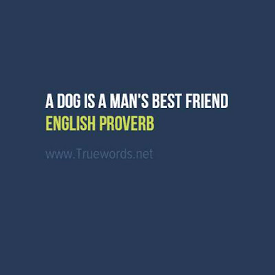 English proverbs and sayings