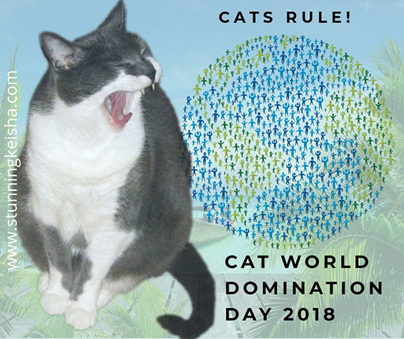 Cat World Domination Day 2018
