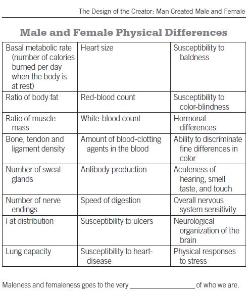 Comparing and contrasting men and women