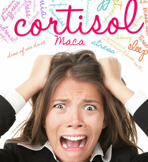 Lower cortisol levels and reduce stress with maca by Barbies Beauty Bits