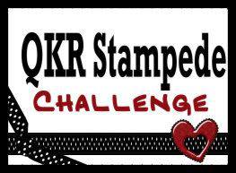 QKR Stampede 387: Top5