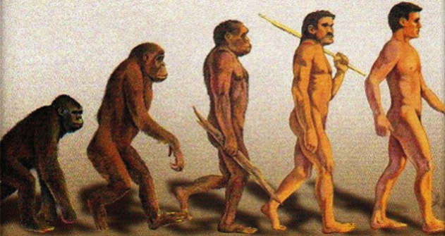 Evolucion y biologia