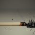 What happens to your body when you Quit Smoking?