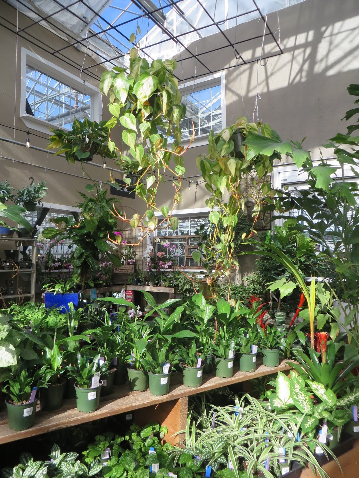 Nursery Visit Sky Nursery Seattle