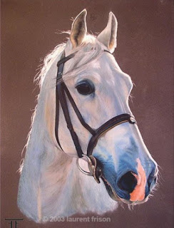 lienzos-caballos-pinturas