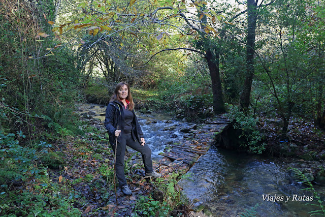 Senda de la cascada del río Nonaya, Salas, Asturias