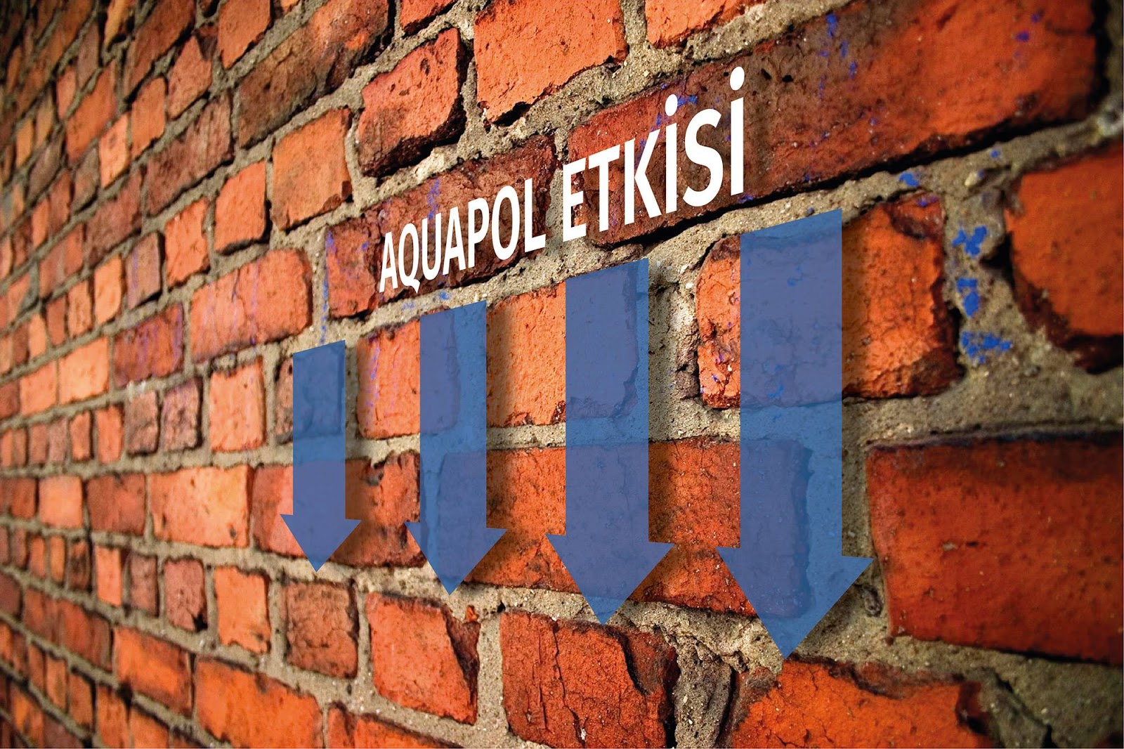 Rutubet kokusu nasıl geçer Rutubet kokusu nasıl geçer