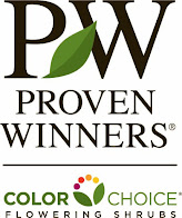 Proven Winners ColorChoice - Live plants
