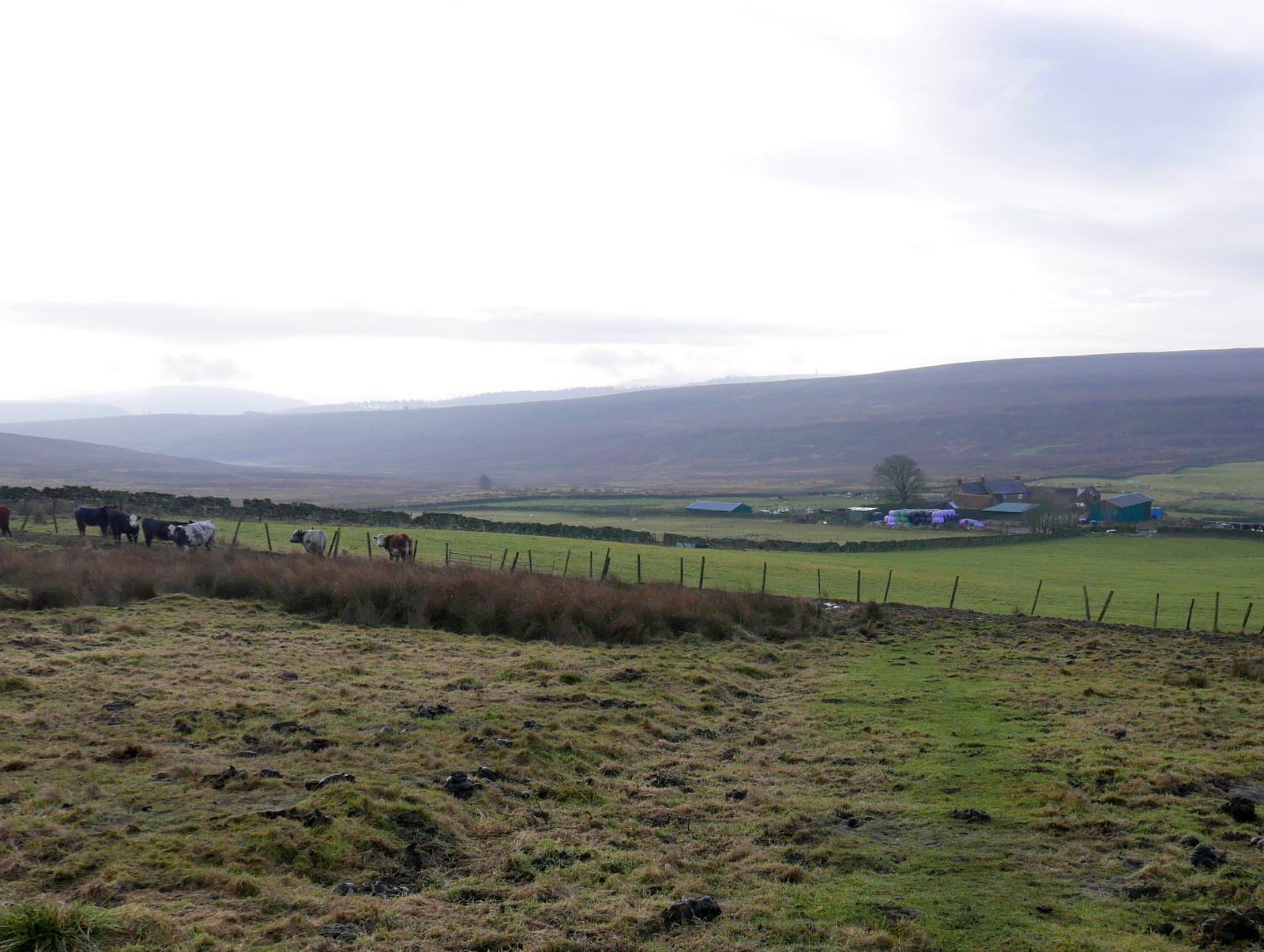 Walking in North Yorkshire