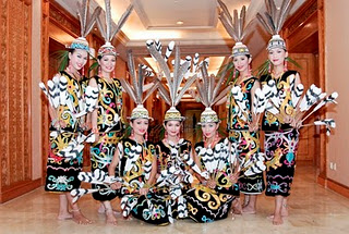 Enggang Bird | Burung Enggang - Alam Mentari