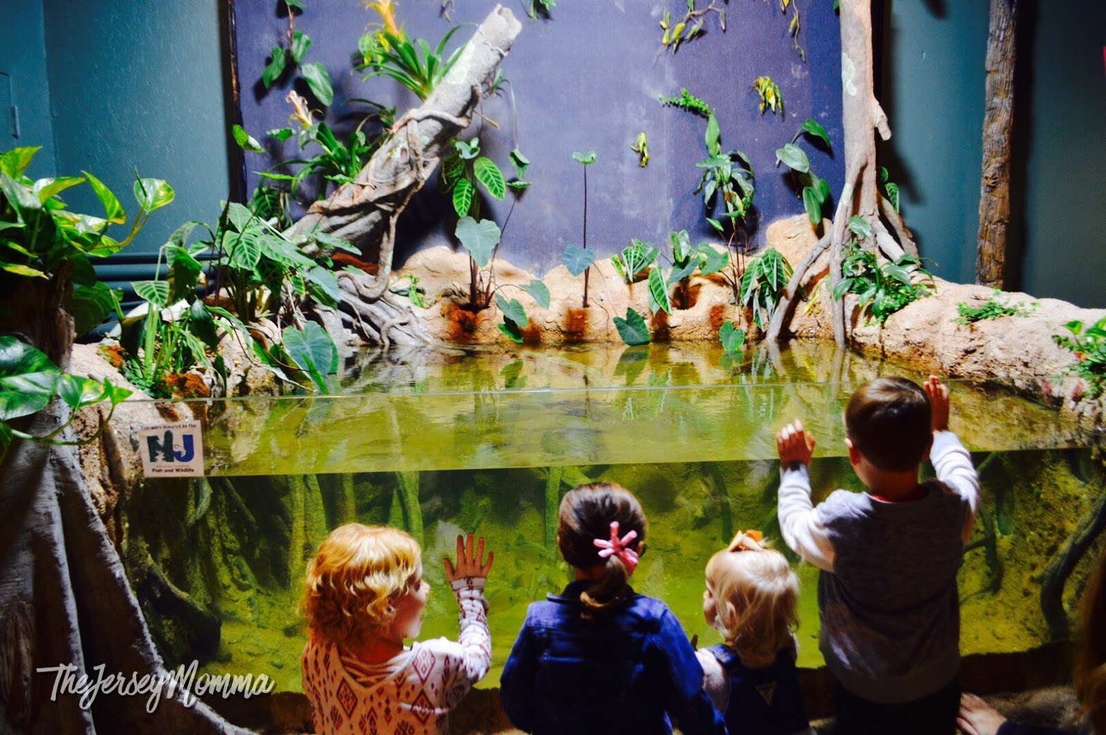 New Jersey's Best Birthday Party Locations and Interactive Party Map