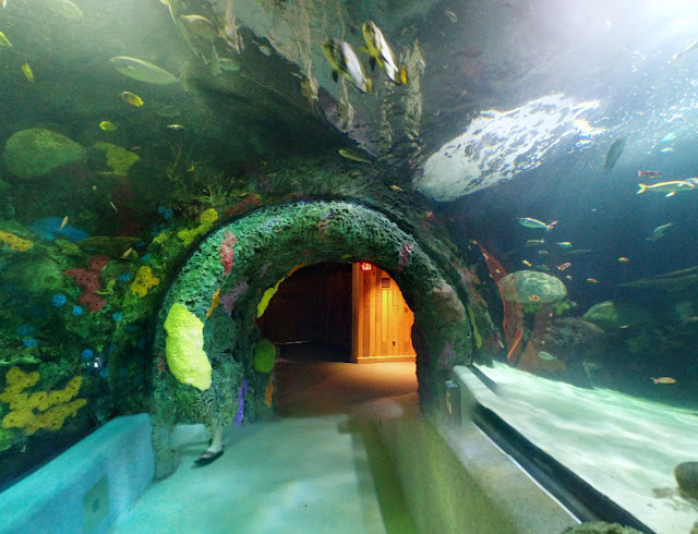 Virginia Beach Wedding Venues Virginia Beach Aquarium Virginia Beach Wedding Venues Virginia Beach Aquarium