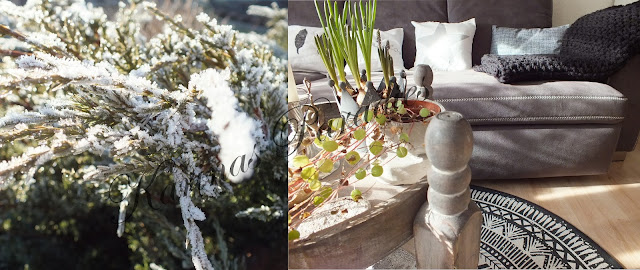 Karinas paradies: eine warme decke für den kalten winter