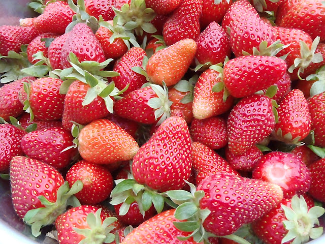 Pick'em and Preserve'm Strawberries