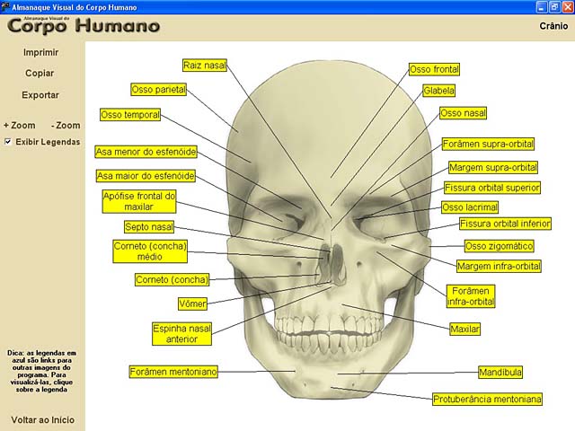 Almanaque Visual do Corpo Humano Portable
