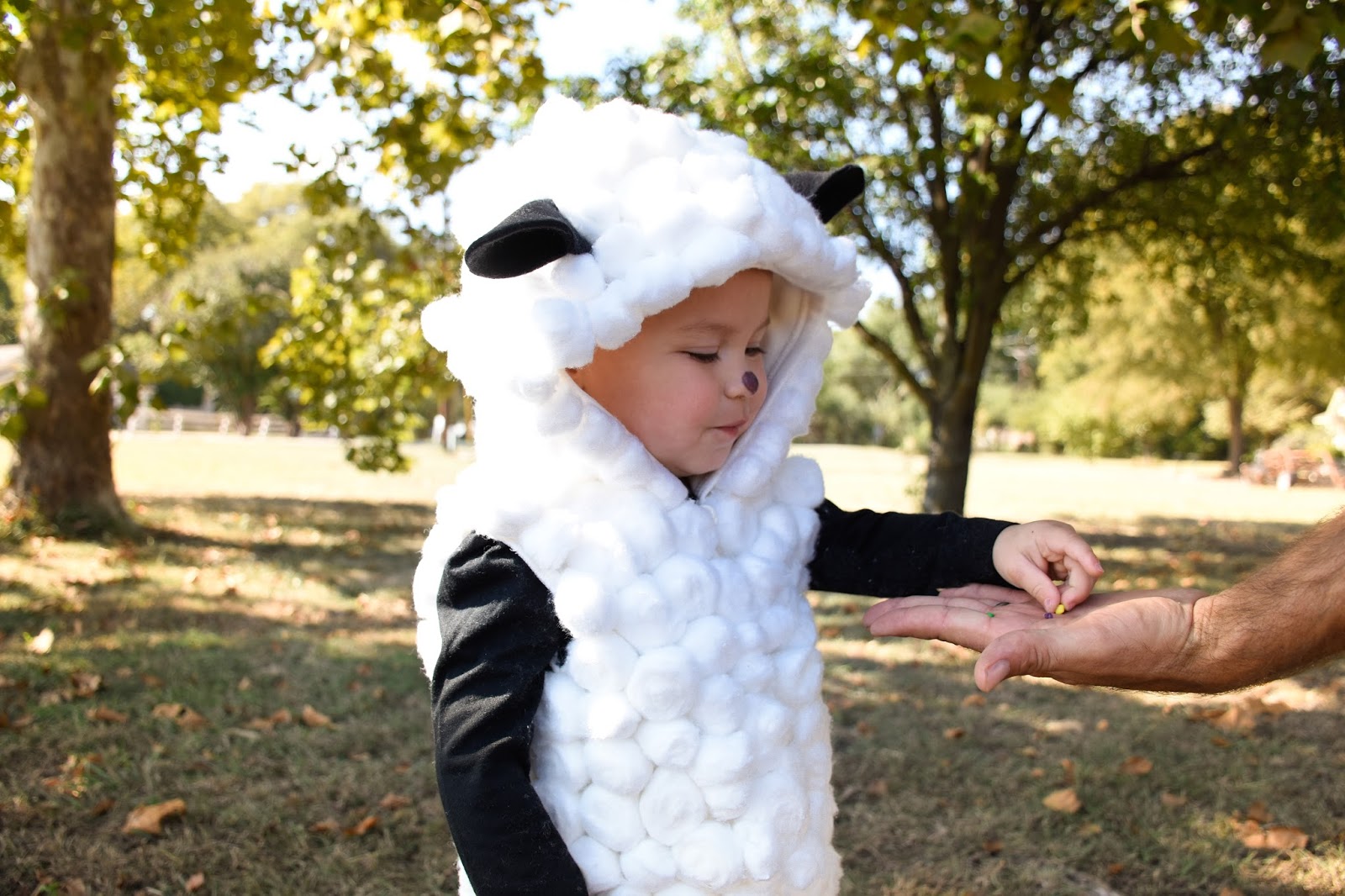 Sheep Costume 