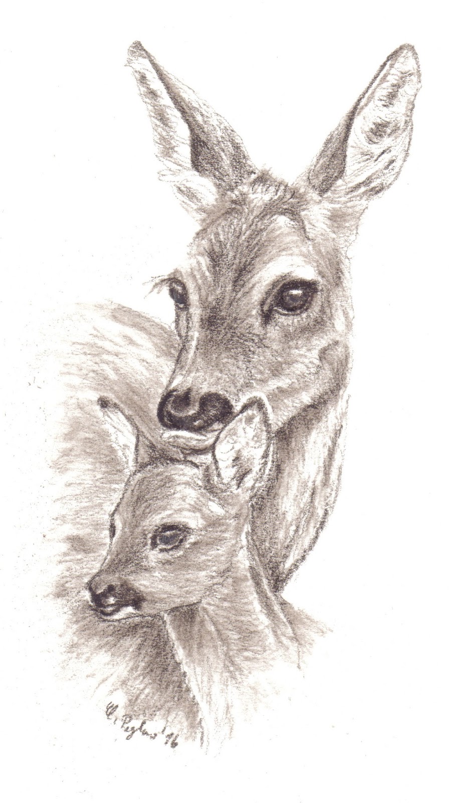 Zeichenstudio: Reh mit Kitz