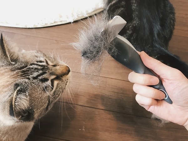 フーリーの刃についたたくさんの猫毛
