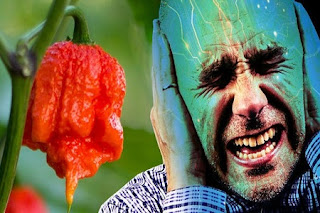 Wayne Algenio beats the World Record for eating the most Carolina Reapers in 60 Seconds!