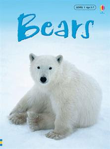 Polar Bear Books and Activities for Kids