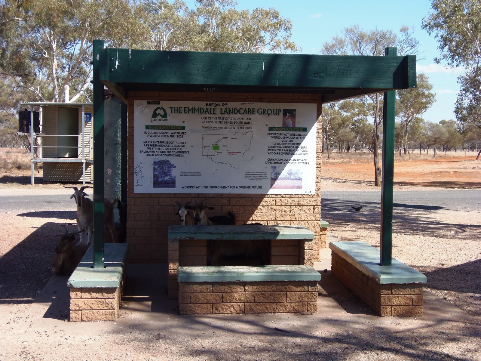Solo Steve On The Road BROKEN HILL TO COBAR NSW