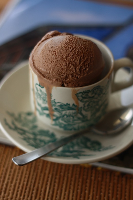 Roasted Coffee Bean Chocolate Ice Cream by Season with Spice