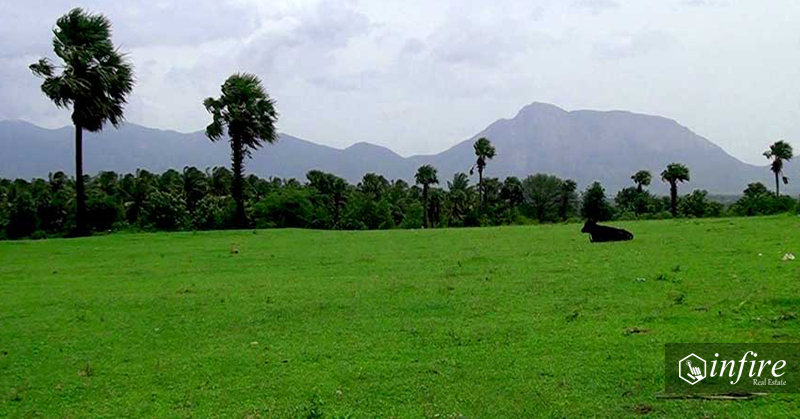 Land For Sale at Kanthalloor, Idukki, Kerala