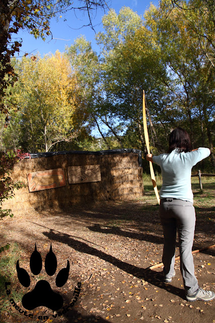 maman-louve-chasse-arc