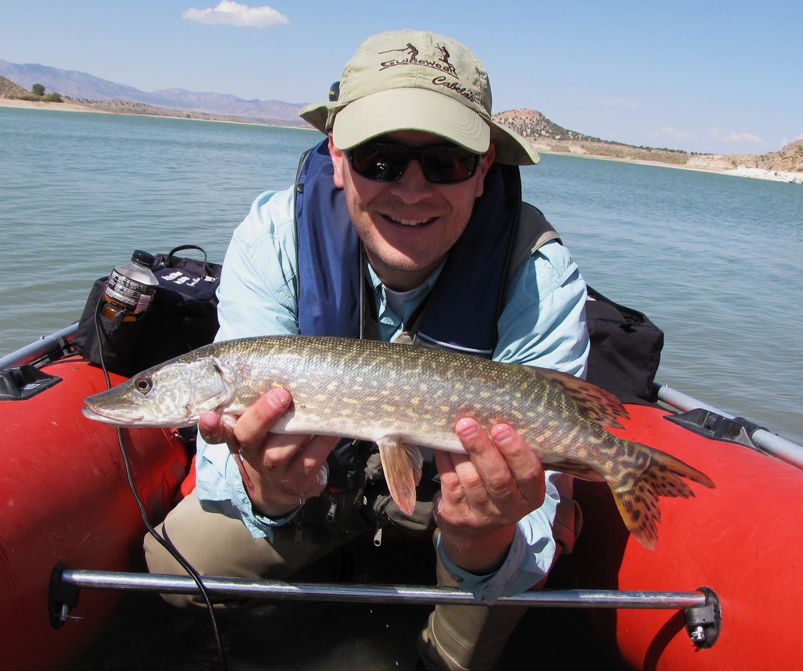 Ricks Reel Adventures Northern Pike At Yuba Reservoir