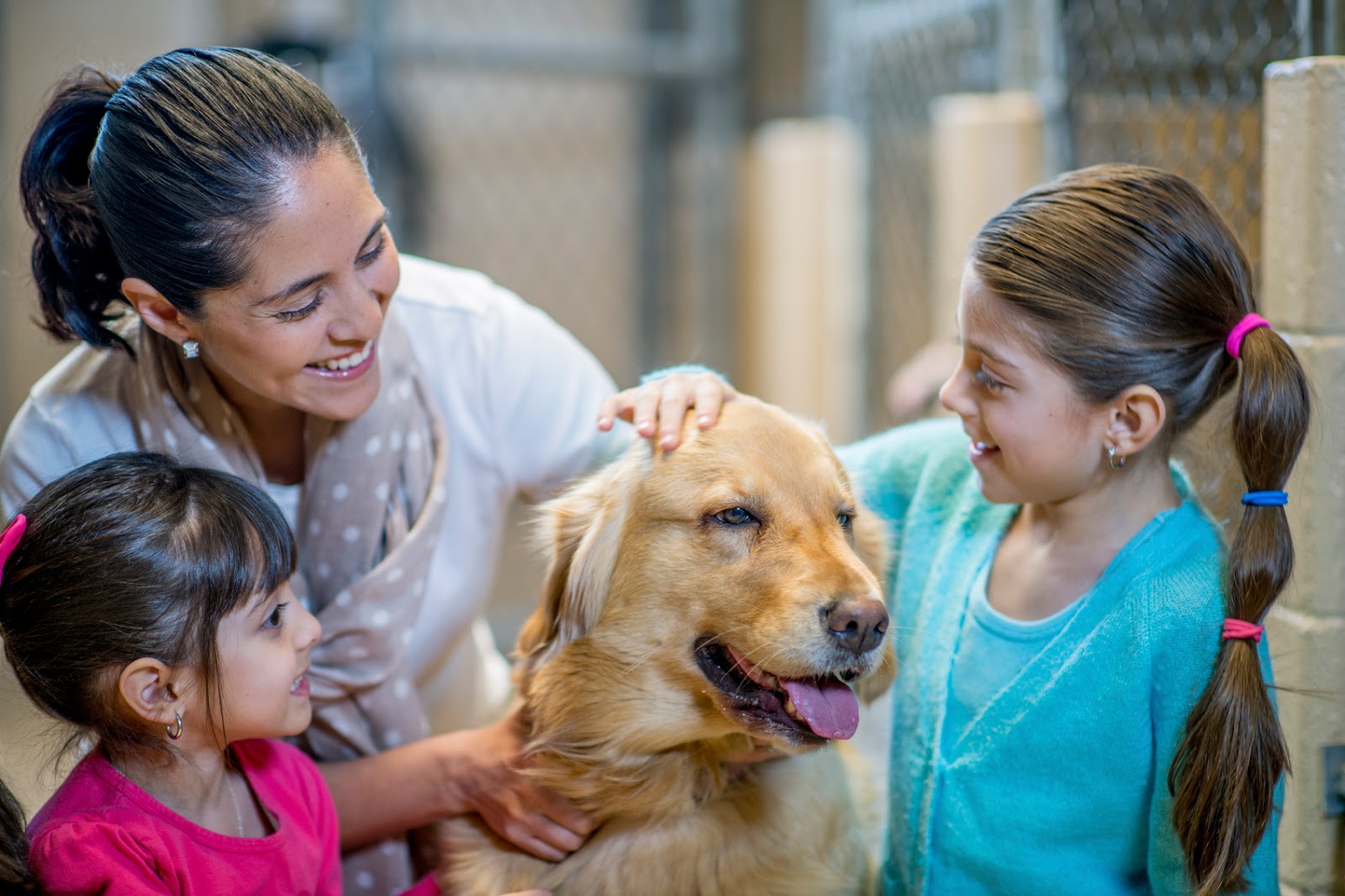 Berkeley Heights Animal Hospital: 5 Incredible Reasons To Adopt A