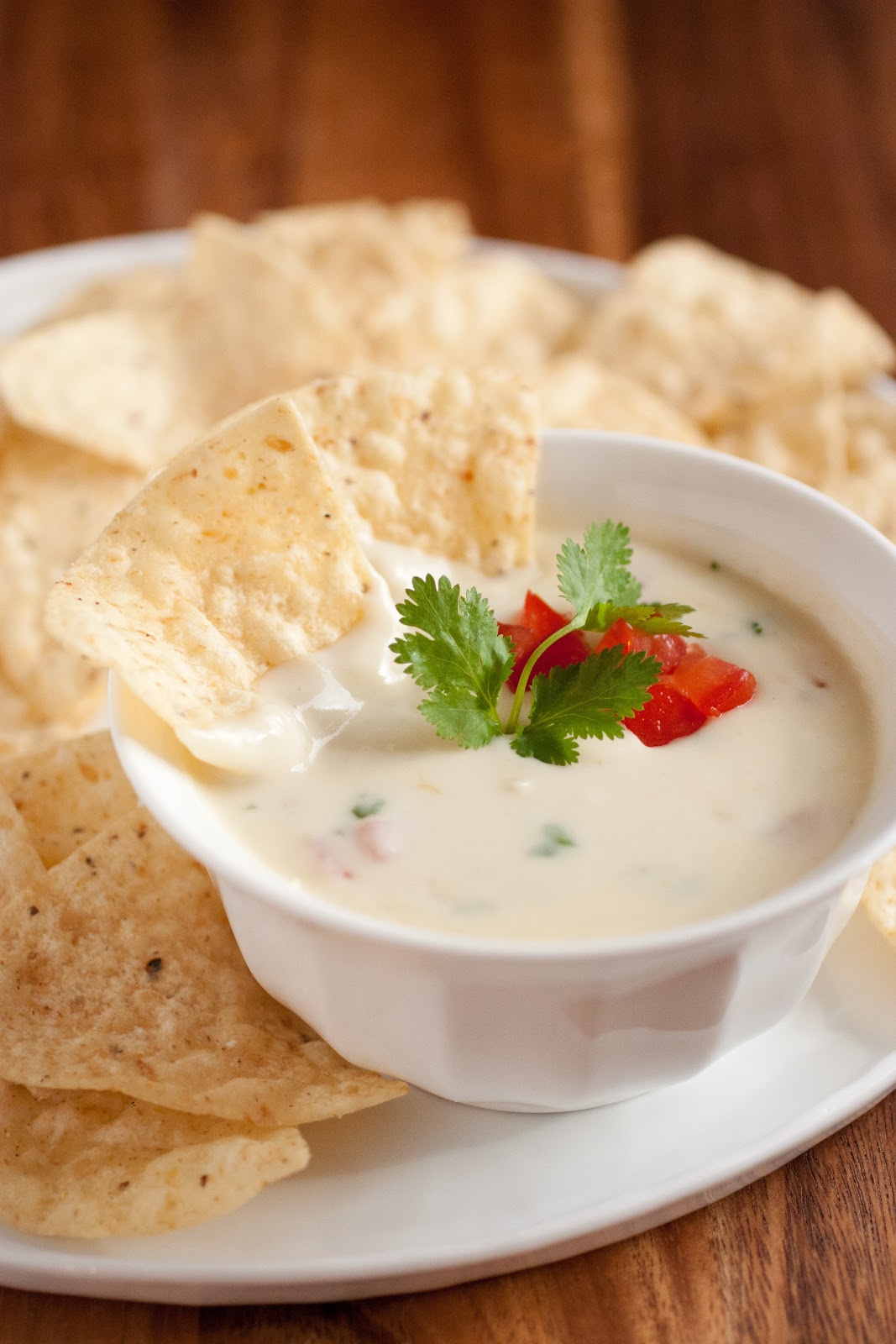 Queso Blanco Dip Healty Food Recipes