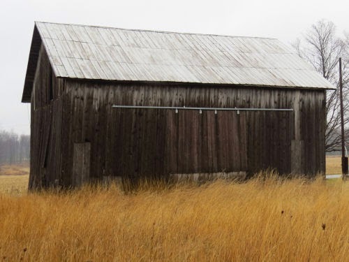 old barn in grass