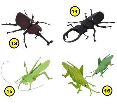 Beetles research paper image