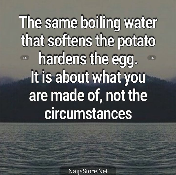 Proverbs: The same boiling water that softens the potato hardens the egg. It is about what you are made of, not the circumstances - Proverbial Quotes