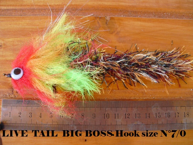 Streamer Per Trota/salmone 15: Varietà Di Stili Disponibili - Foto 9