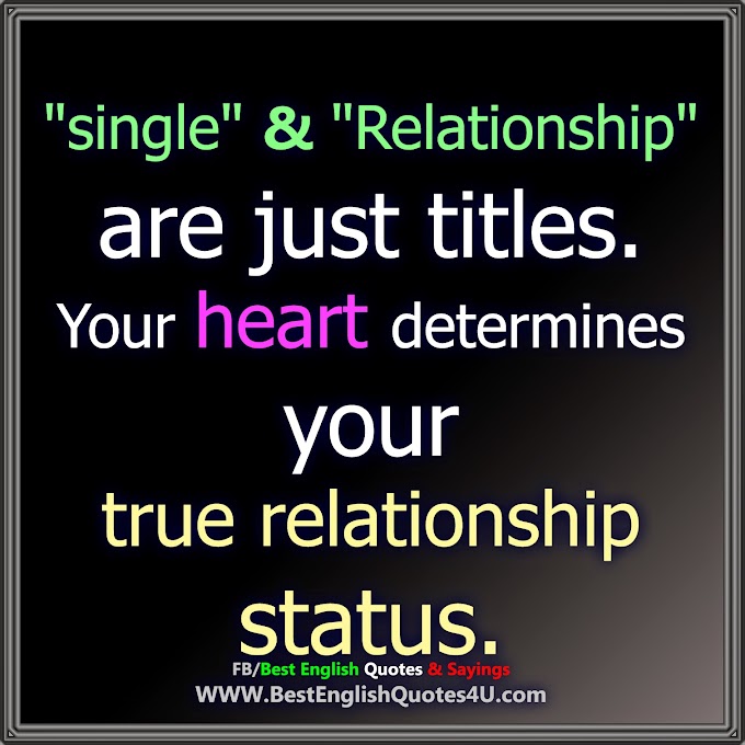 "single" and "Relationship" are just titles. 