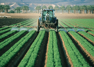 Roundup Glyphosat Unkrautvernichtung Krebserregend Glyphosat Herbizid Unkrautvernichtung gesundheitsschädlich