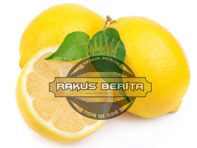 Manfaat Buah Lemon Untuk Menurunkan Resiko Penyakit Manfaat Buah Lemon Untuk Menurunkan Resiko Penyakit
