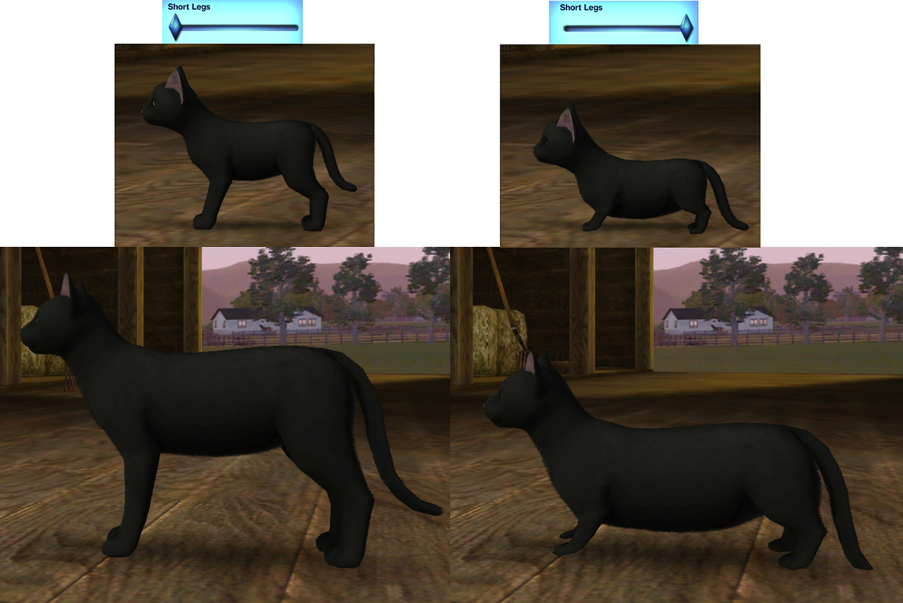 My Sims 3 Blog All Ages Cat Sliders By Oneeuromutt