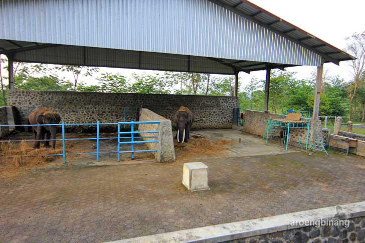wisata linggoasri kajen pekalongan