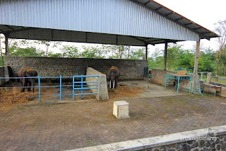 wisata linggoasri kajen pekalongan