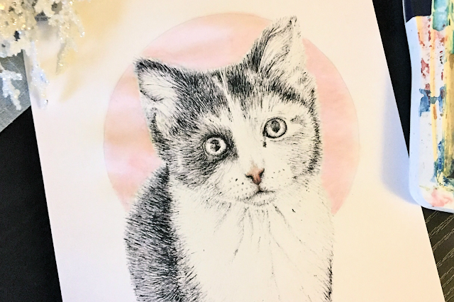 Art Cat Biro Illustration Watercolour