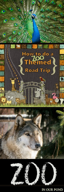 How to Plan a Zoo Themed Road Trip from In Our Pond