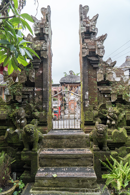 Pakudui - Ubud - Bali